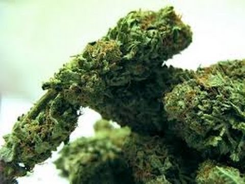 Coast To Coast AM - Marijuana Health Benefits & The Oil Conspiracy - CoastAM - 3 September 2012