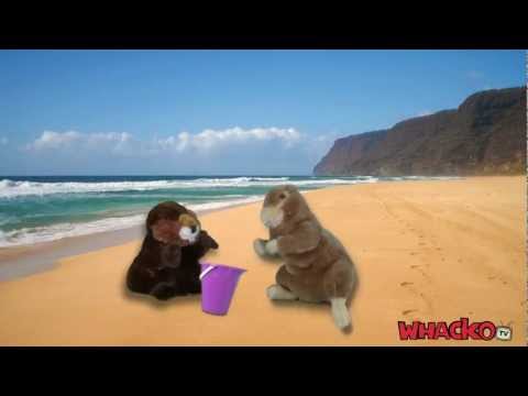 WHACKO-TV REGGAE CHRISTMAS