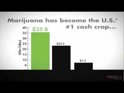 Marijuana | The Facts - FullHD 1080P