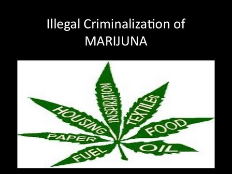 Shawn Cain's Illegal Criminalization of Marijuan EP 1