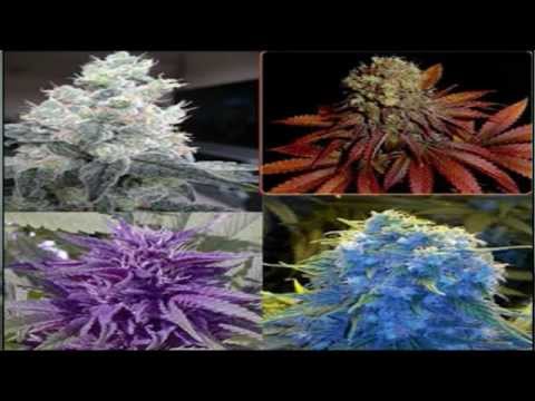 MARIJUANA...BY KID CUDI...SWEET MELODY!!!!