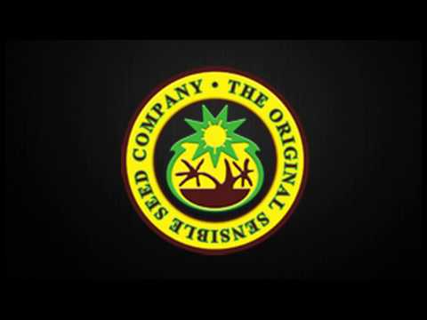 Buy Dr Grinspoon Seeds - Cheap Dr Grinspoon Seeds For Sale