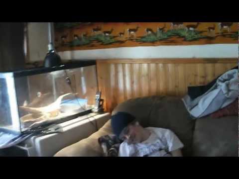 My 40x Salvia Divinorum Trip