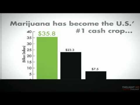 Marijuana-TheFacts