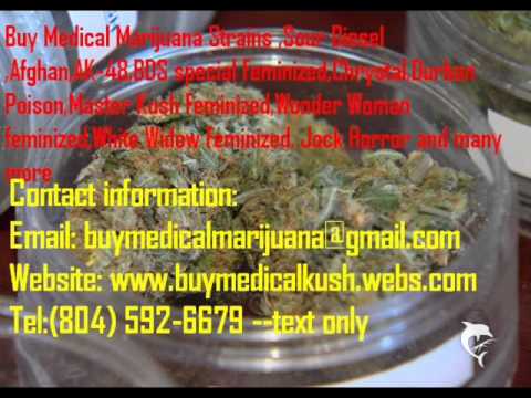 Buy Marijuana online / www.buymedicalkush.webs.com