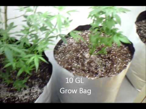 Building A Grow Room