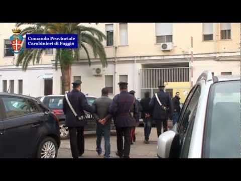 Droga da Grecia e Albania, 10 arresti a Foggia, sequestro 75 kg marijuana