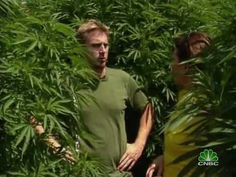 Marijuana Inc. Inside America's Pot Industry (Full)