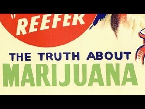The Truth about Marijuana! Devil's Harvest (1942) June Doyle, Weed of Satan. FULL MOVIE