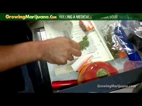 Rolling A Medical Marijuana Sour Diesel Joint