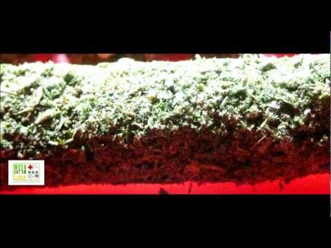 PANDA COOKING, COOKING WITH PANDA - MARIJUANA CUPCAKES