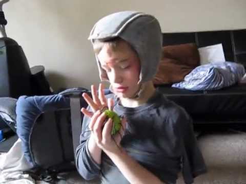 Marijuana angry autistic 1/2