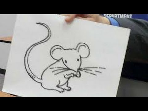 Drug Suspect Stake Out Tampering Evidence Of Marijuana Wichita Kansas Police On Pursuit