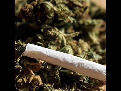 Hello, 911? Thieves Stole My Weed! and Rent Money