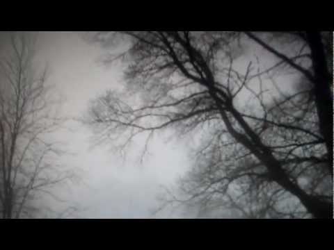 Crazy Salvia Trip 500x #2 [TandM1776]