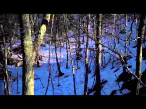 Crazy Salvia Trip 500X (HD) [TandM1776]