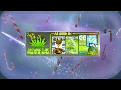 The Next American Industrial Revolution