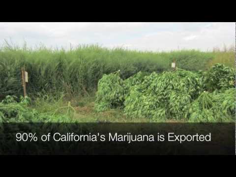 2 Day Tour: Fresno County Sheriff, Medical Marijuana Eradication