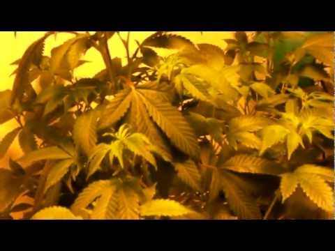 Grow Room Air Filters...Save $$$$