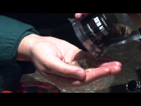 Milly Mullins - Spice - WVU News