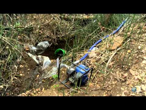 Marijuana Takedown | Weed Country