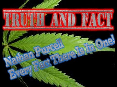 Why Marijuana Should Be Legal: All The Facts In One! Years Of Research Results Shoking