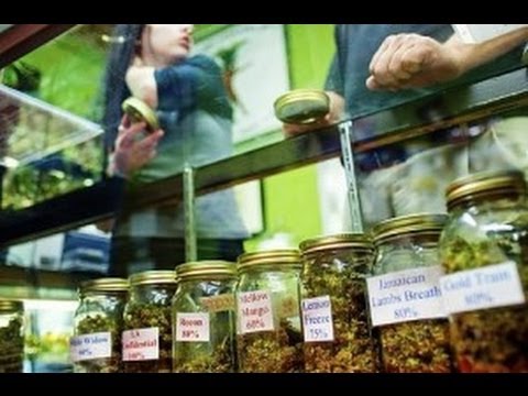 DC Report - Holder to Make Marijuana Decision 
