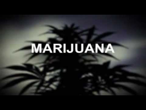 Say NO to legalizing weed!