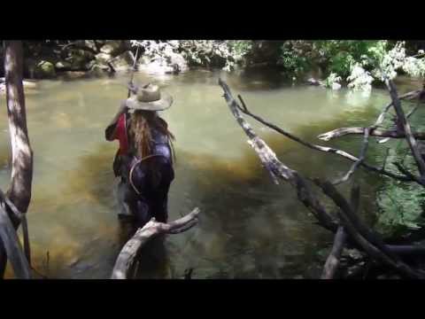 Tricky Trouting on the 