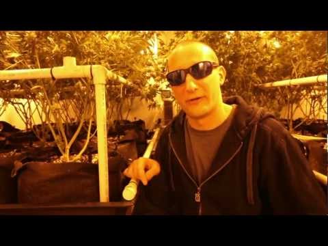 HIGH TIMES Grow Tips -- Containers