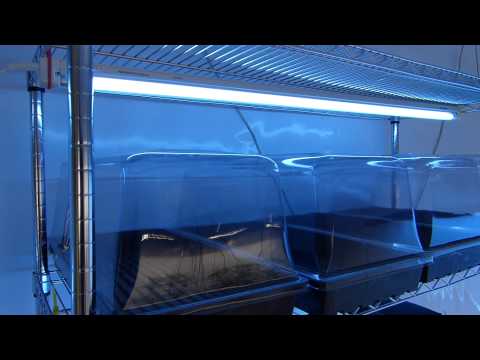 The Epic Nursery! Things to do to Make your Nursery its Best!