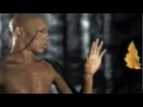 Bizarre San Pedro cactus trip report.