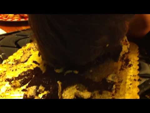 Weird Ass Salvia Trip