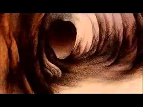 Psychedelic Hardstyle Mix with Trippy Animations (watch while you're high!)