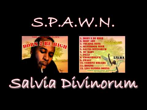 Thee Almighty S.P.A.W.N. - Salvia Divinorum