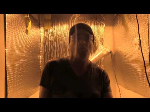 Harlem Shake Mary Jane 420 Grow Room Remix