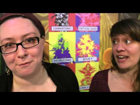 Spannabis 2013 Resin Seeds