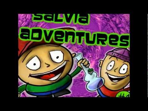 Salvia Divinorum Adventures #1