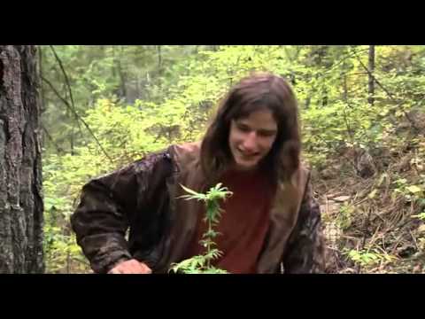 Marijuana in Canada - CBC Documentary - Recreational Drug Use - Part 3