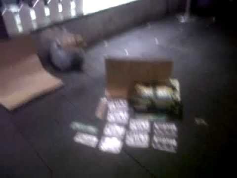 hemp nimbin marijuana oxford street