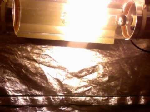 600 WATT INDOOR GROW