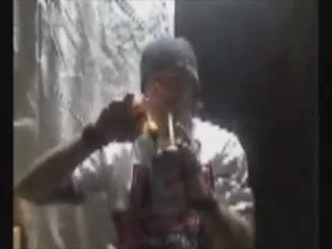 The Brain Trust - Bong Rips