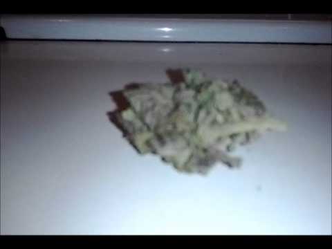 Oregon Marijuana 2013