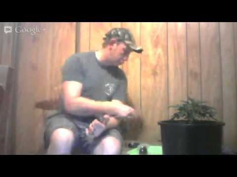 The Grow Pro Show Live!