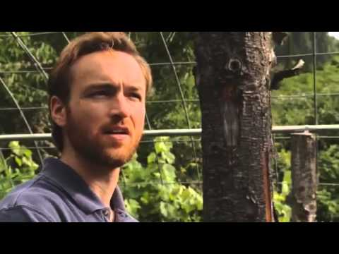 BANNED:  B.E. Smith coaches Matthew Shotwell on growing marijuana.