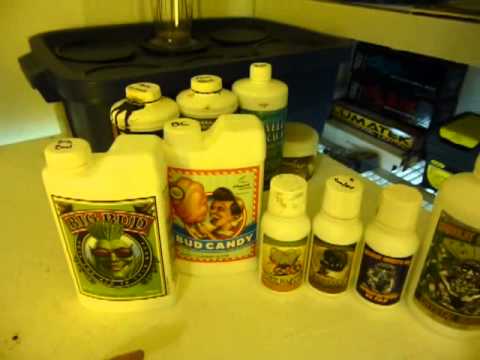 How to Grow DWC Cannabis pt 6