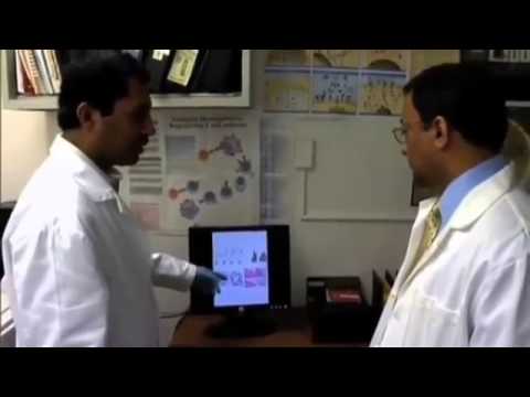 PBS Documentary - The Science of Marijuana - PBS Documentary Science part 1