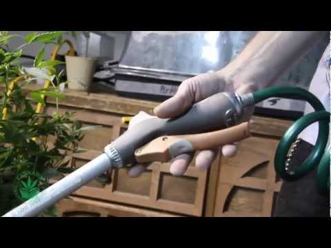 How to Grow Weed-Basic Needs-Marijuana