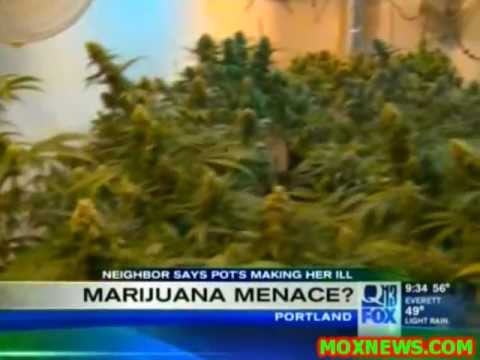 MARIJUANA MENACE! Portland Woman Says Neighbor's Marijuana Garden Is Making Her Sick