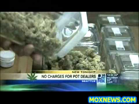 Seattle Police Not Charging New Marijuana Dealers With A Crime!